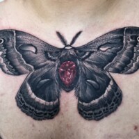 Butterfly tattoo